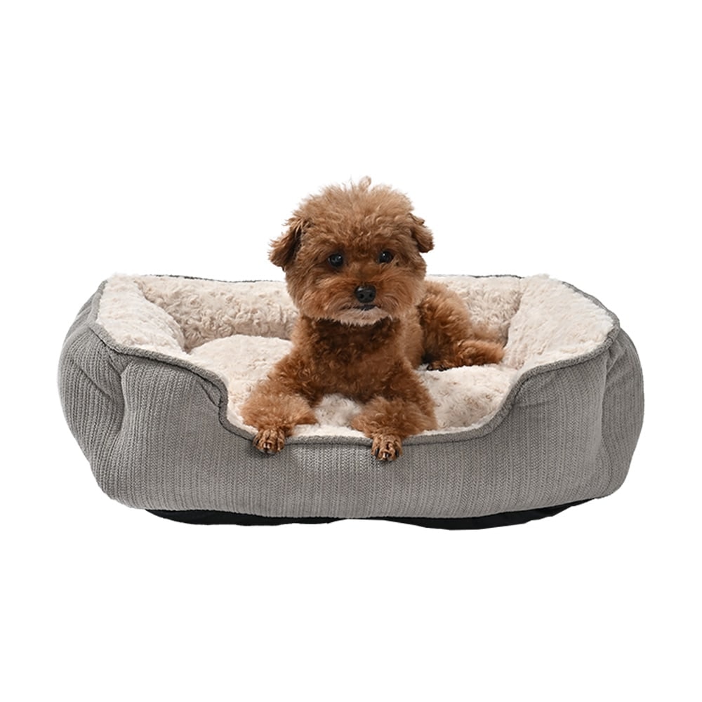 Puppy in freshly washed pet bed
